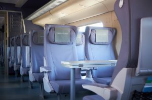 High Speed Sapsan Train, Little Tour of Russia