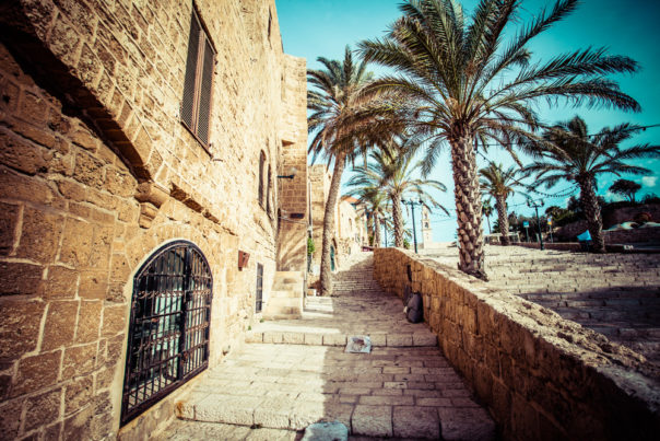 Top Reasons to Travel to Israel with Kids - Aufgang Travel
