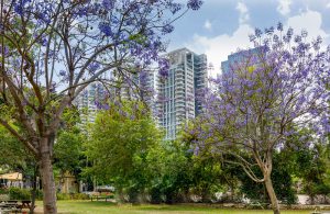Spring Accessible Multicultural Tour, 11 days/10 nights. Tel-Aviv, Israel