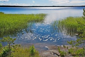 Scandinavia – Northern Wonders, 10 days / 9 nights. Norway forests in Varmland, Sweden, Scandinavia