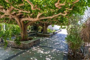 Jardín de la Iglesia Ortodoxa Griega de los Santos Apóstoles, cerca de la orilla del mar de Galilea en Israel, Circuito Tierra Santa (Llegada - Domingos)