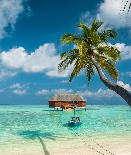 Overwater bungalow on turquoise sea with a palm tree leaning over the beach.2600] - Aufgang Travel